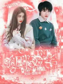 TNT：刹那芳华