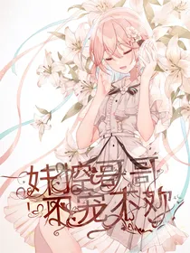 妹控哥哥，不宠不欢