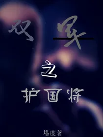 双军之护国将