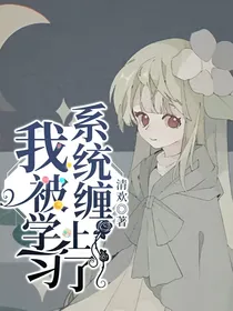 我被学习系统缠上了