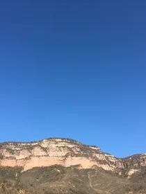 荒野直播