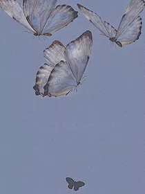 养弟有风险宠弟需谨慎