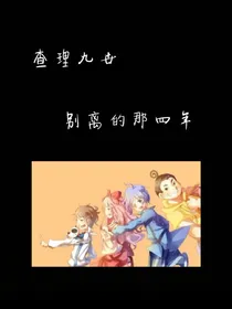 查理九世：别离的那四年