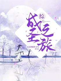 综：成圣之旅