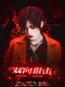 王牌对王牌6：双向狙击