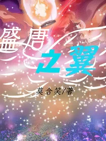 盛唐之翼