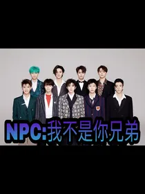 NPC：我不是你兄弟
