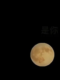 总裁别跑，我要做任务
