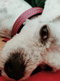 孤独之恶
