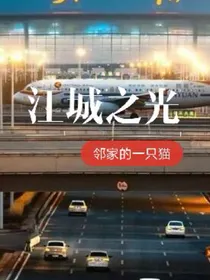 江城之光