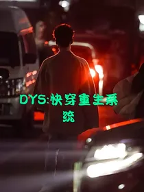 DYS：重生系统