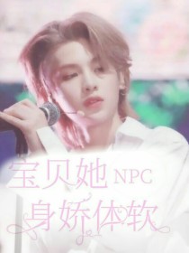 NPC：宝贝她身娇体软