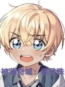 神澜奇域：紫灵珠