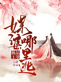 极品王爷：媒婆，哪里逃