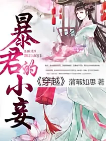 穿越：暴君的小妾1