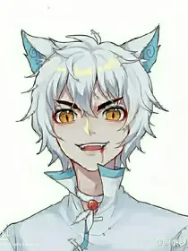 京剧猫之春夏秋冬四宗