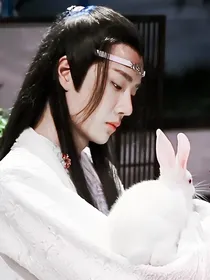 陈情令：不负如来，不负卿
