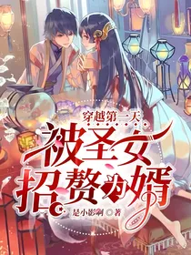 穿越第一天被圣女招赘为婿