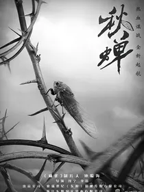 秋蝉：情意绵绵