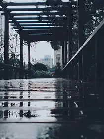 成长的女主