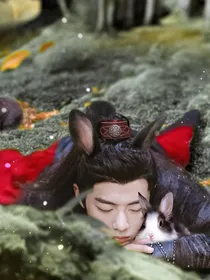 假如我变成了一只兔子