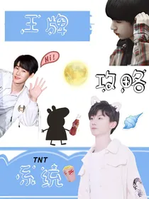 TNT：王牌攻略系统