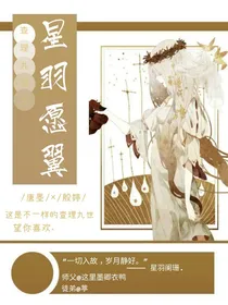 查理九世之星羽愿翼