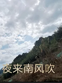 夜来南风吹（碎笔）