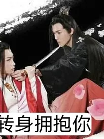 刺客列传之终是转身拥抱你