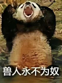 最强主播系统