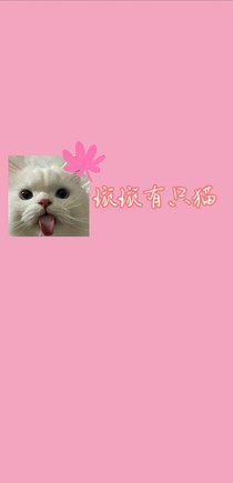 璇璇有只猫