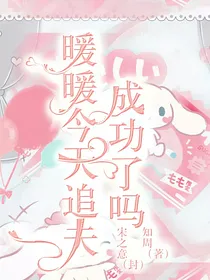 暖暖今天追夫成功了吗