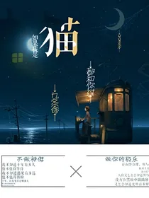 如果我是猫九条命都和你过