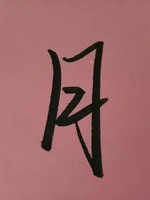 炫斗战轮之月华无霜