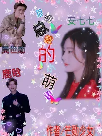 狼性总裁的小萌妻（上部）