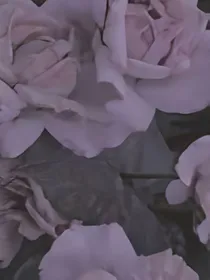 荒唐……