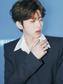 狐狸与灰狼的爱情