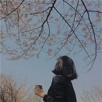 芝兰玉树芷椛红