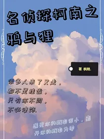 名侦探柯南之鸦与狸