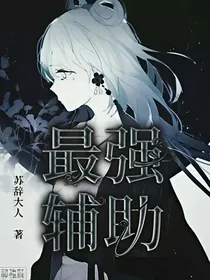 神奇宝贝：最强辅助