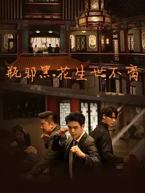 终极笔记之百岁老人拐人之旅