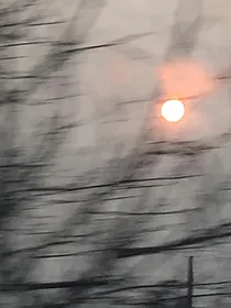 网游之源世界