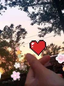 我生活的故事