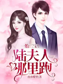 一胎二宝：陆夫人哪里跑