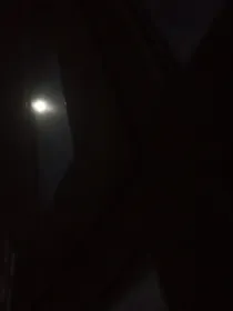 我和病娇一起重生了