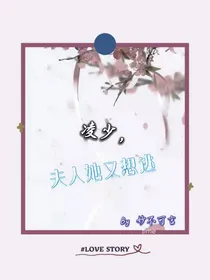 凌少，夫人她又逃走了