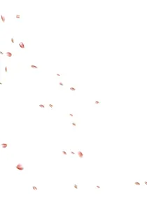 万道神祖