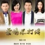 爱情不打烊之火凤凰