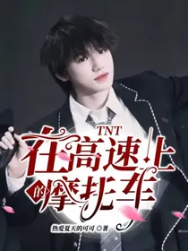 TNT：在高速上的摩托车