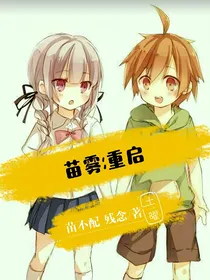 苗雾：重启（弃稿）